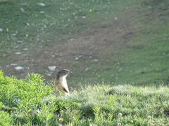 Breithorn-Occidentale-8b